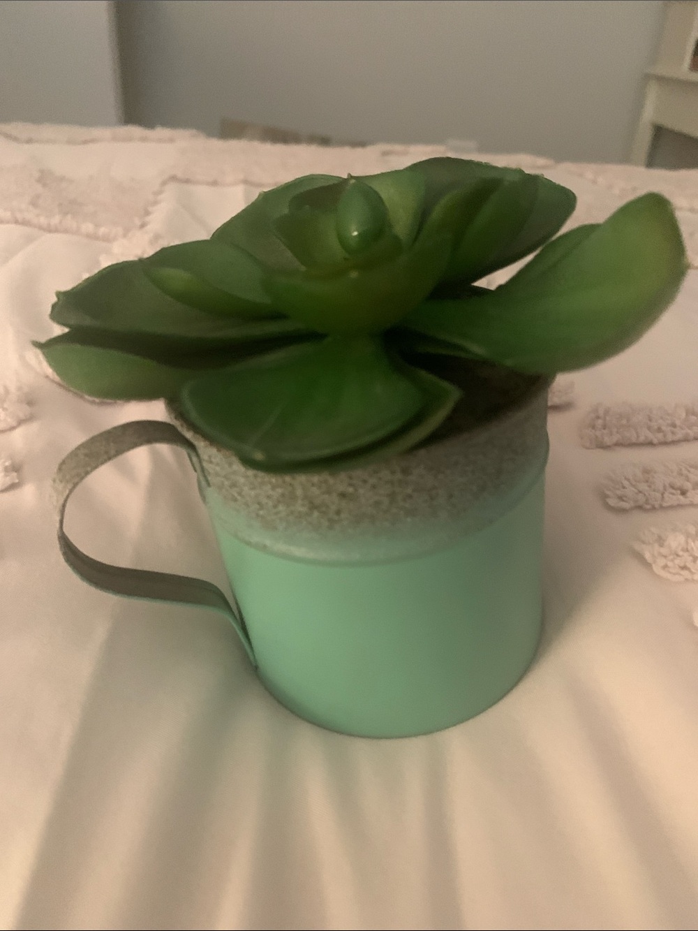Green Succulent in Mint Green Metal Planter - Home Accents